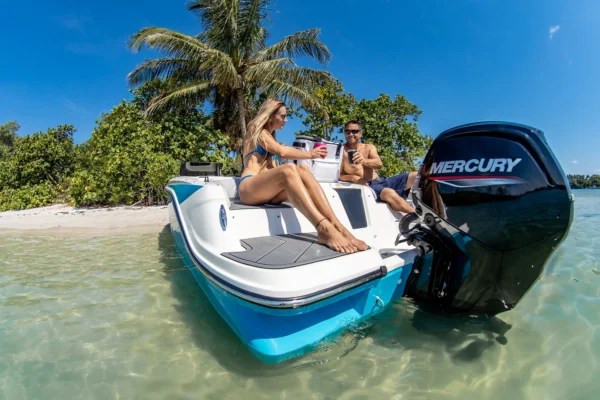 Bayliner M17 BoatServiceEstonia