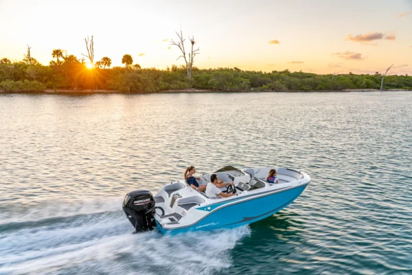 Bayliner M17 BoatServiceEstonia