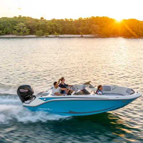 Bayliner M17 BoatServiceEstonia