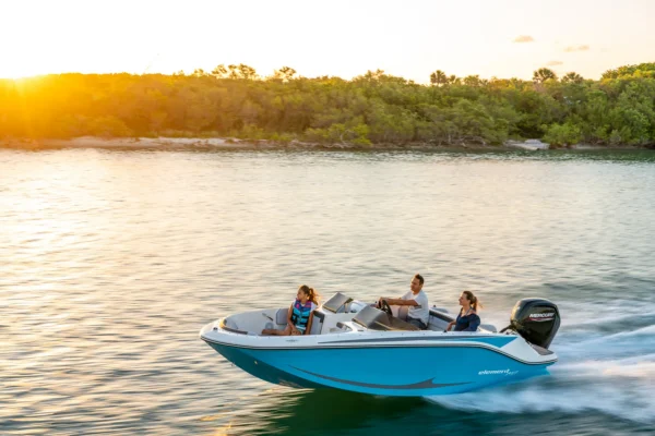 Bayliner M17 BoatServiceEstonia