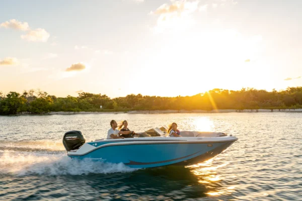 Bayliner M17 BoatServiceEstonia