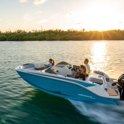 Bayliner M17 BoatServiceEstonia