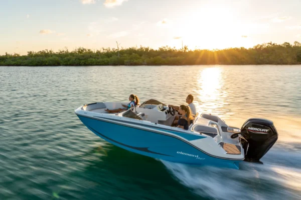 Bayliner M17 BoatServiceEstonia