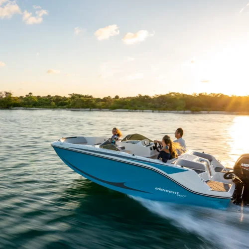 Bayliner M17 BoatServiceEstonia