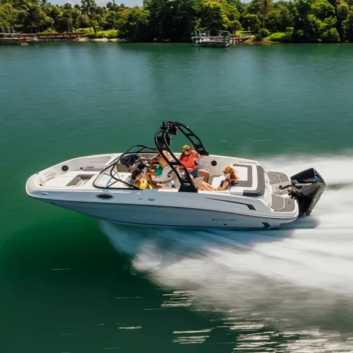 Bayliner VR6OE outboard engine boatservicesestonia