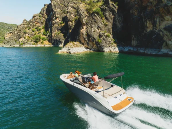 BAYLINER V20I inboardEngine boatserviceestonia