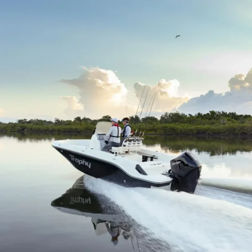 Bayliner t20CC estonia