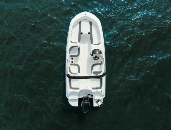 Bayliner Element E16