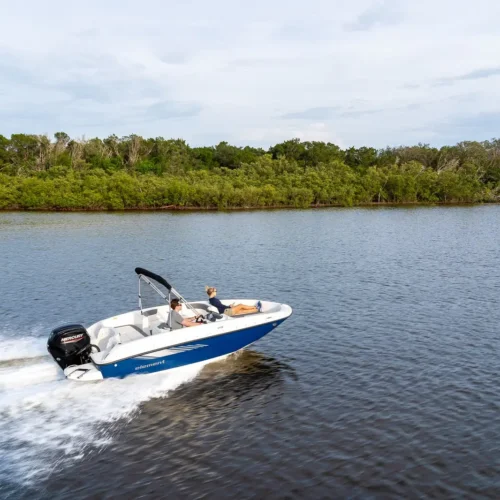 Bayliner Element E16