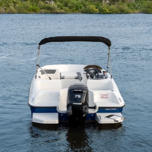 Bayliner Element E16