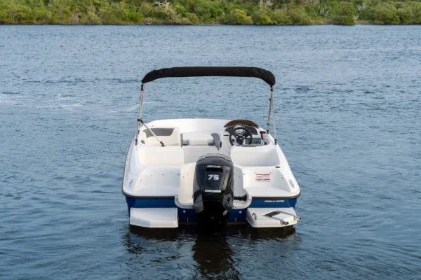 Bayliner Element E16