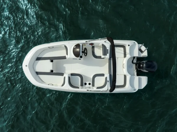Bayliner Element E16