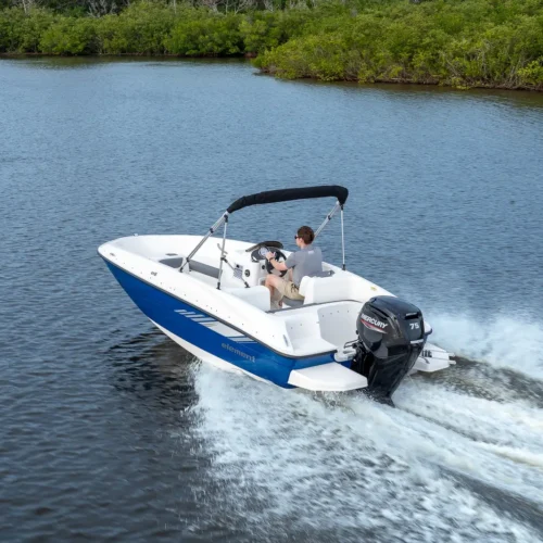 Bayliner Element E16