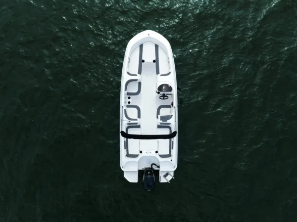 Bayliner Element E18 estonia