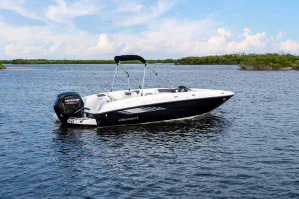 Bayliner Element E18 estonia