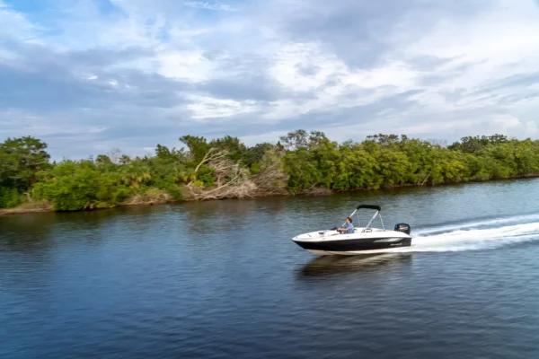 Bayliner Element E18 estonia