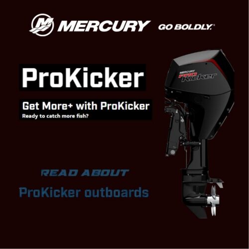 Mercury ProKicker™ (9.9-25hj)
